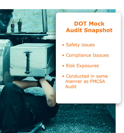 DOT Mock Audit | DOT Audit Services | CNS
