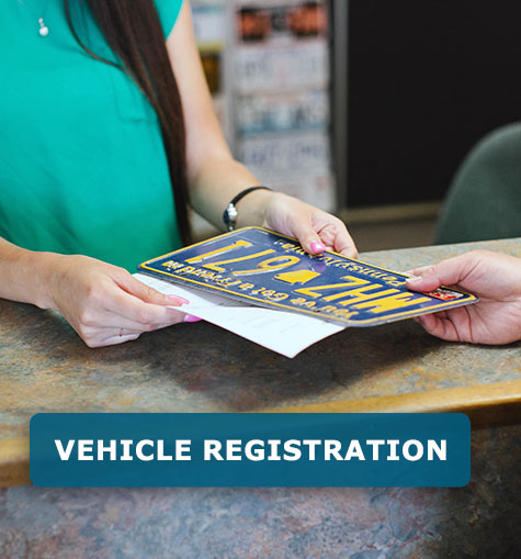 Vehicle Registration | DOT Licensing | CNS