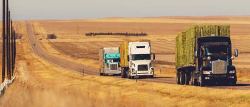 Read more about the article Ag hauler HOS Exemption Clarification Goes into Effect