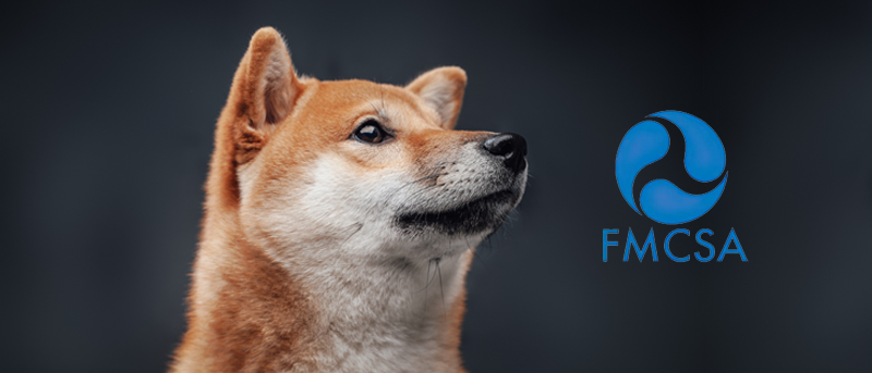 defending_FMCSA_DOGE In Defense of the FMCSA as DOGE Stokes Fear in Government Agencies