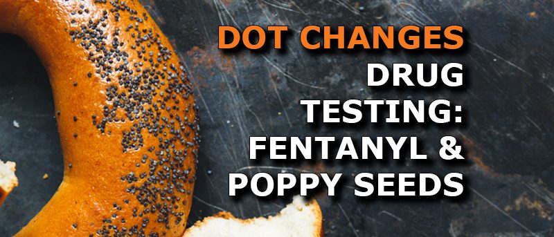 dot drug test changes coming Fentanyl Added, Poppy Seed Confusion Reduced: Breaking Down DOT’s Proposed Testing Updates