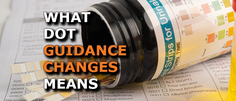 Understanding the Updated DOT Drug and Alcohol Testing Guidance: What Employers Need to Know