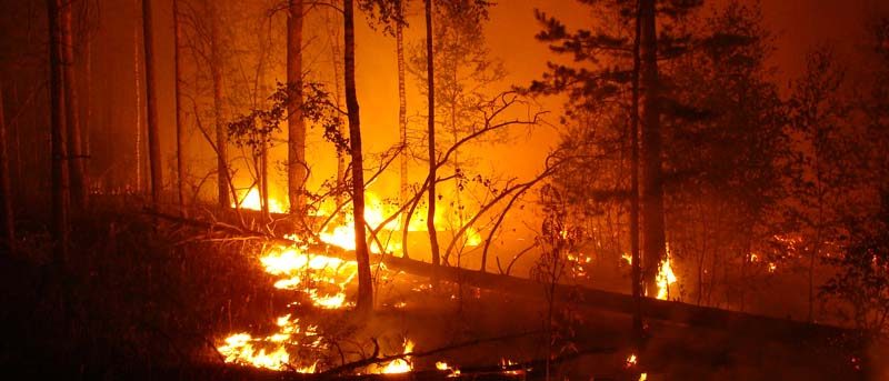 wildfire hours of service emergency