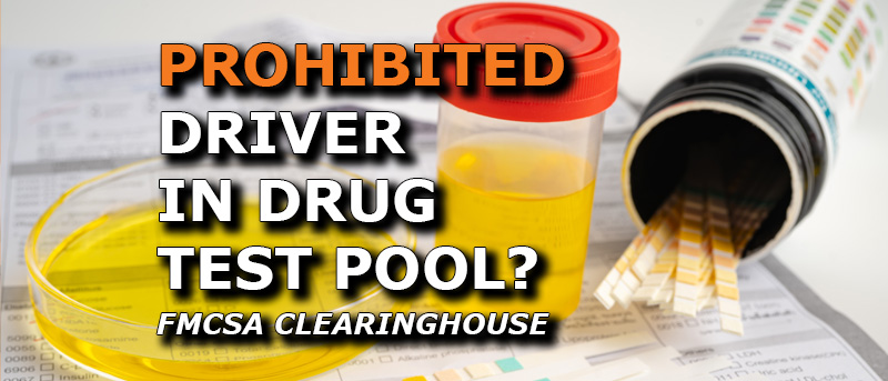 Read more about the article Should a CDL Driver Be in Your Drug Testing Pool if They’re Listed as Prohibited in the FMCSA Clearinghouse?